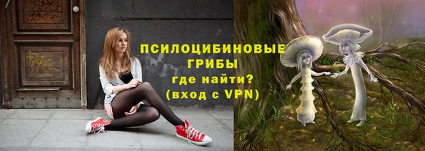 скорость Алзамай