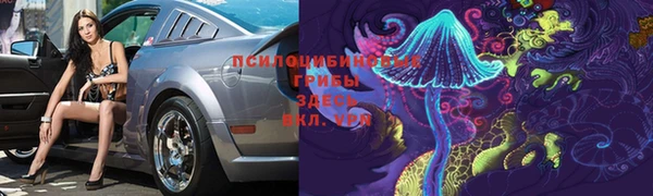 spice Алексин