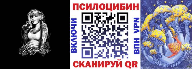 купить наркотик  Покров  Галлюциногенные грибы MAGIC MUSHROOMS 